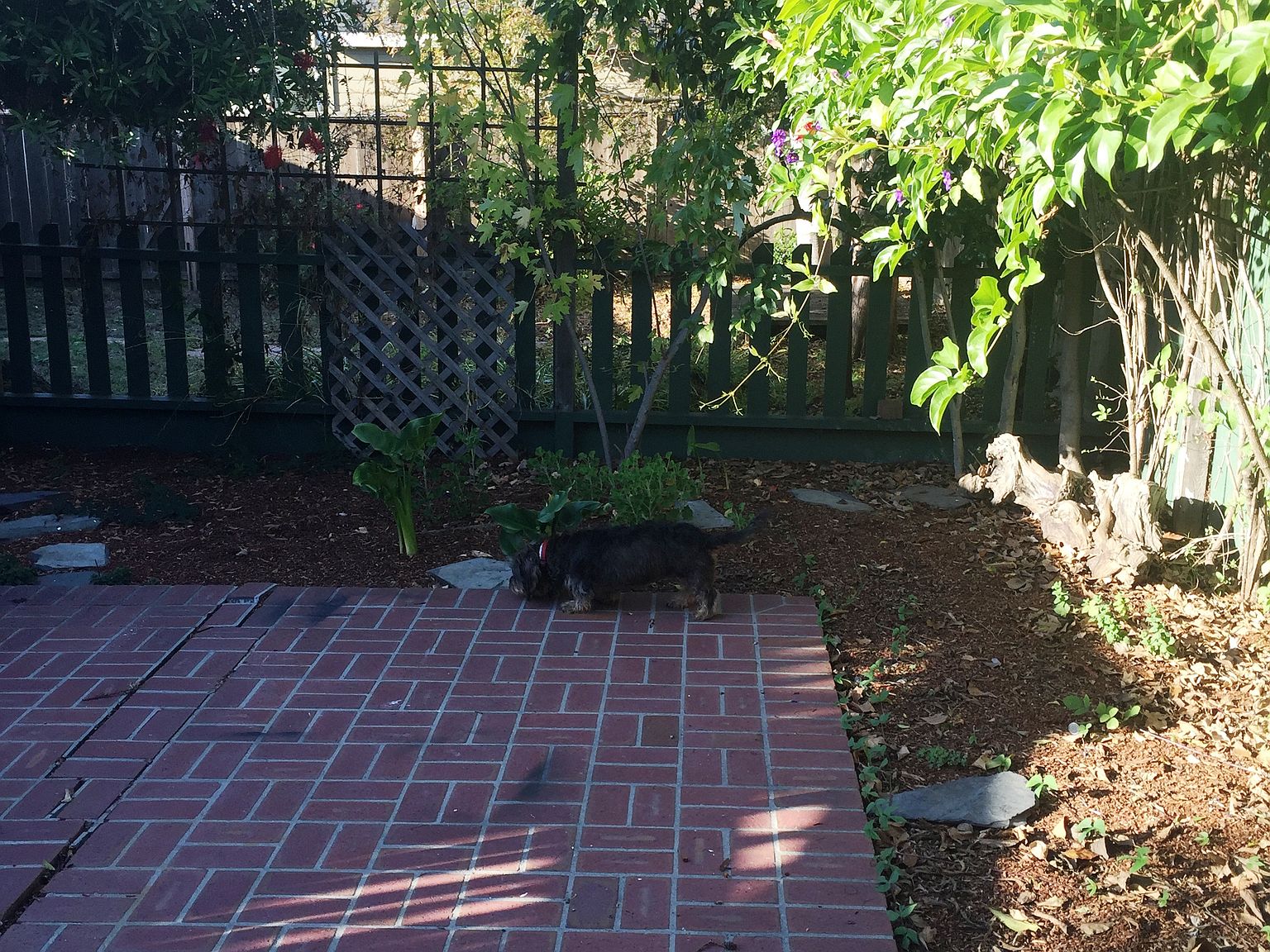 1107 Evelyn Ave, additional photo 59